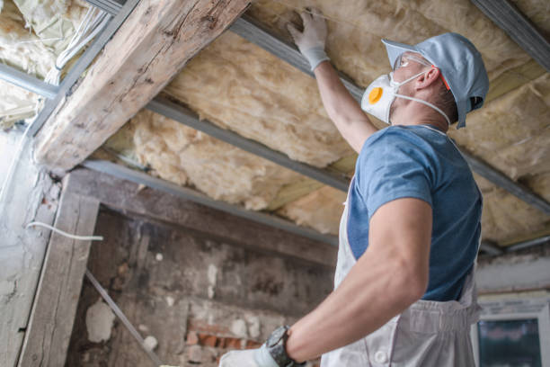 Best Insulation Installation Services in Lyndon, KS
